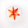 bouton en nacre fleur orange