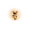 Bouton en nacre 15 mm koala