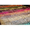 Perles magiques - turquoise