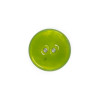 Bouton en nacre émaillée vert pomme