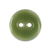 Bouton en nacre émaillée vert
