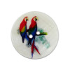 Bouton en nacre motif perroquet