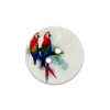 Bouton en nacre motif perroquet