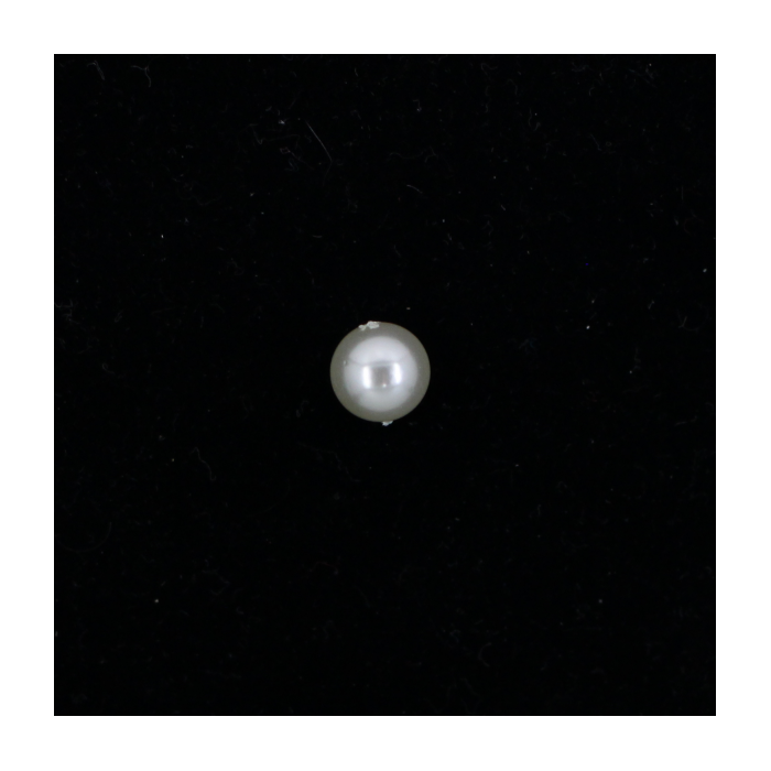 Perle nacrée ronde 8mm écru x10