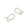 Boucles d'oreilles dormeuses fil 15 mm x10