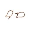 Boucles d'oreilles dormeuses fil 15 mm x10