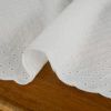 Tissu broderie anglaise - blanc cassé x 10 cm