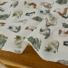 Tissu popeline coton motifs chats - écru x 10 cm
