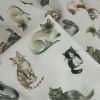 Tissu popeline coton motifs chats - écru x 10 cm