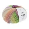 Cloud - LangYarns