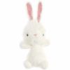 Kit crochet amigurumi lapin blanc - furry