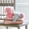Kit crochet amigurumi lapin rose - furry