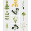 Fleurs et feuillages au crochet - 35 modèles étape par étape