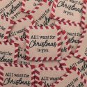 Etiquette à coudre All I Want for Christmas is You - Bohin x 1