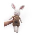 Kit crochet Mon ami gurumi Lapin - Graine créative
