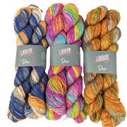 Laine multicolore et dégradée