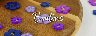 bouton-sept26