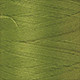 Vert 1146