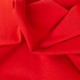 Jersey coton rouge