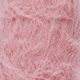 Corail 03