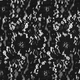 Dentelle fleurs noir